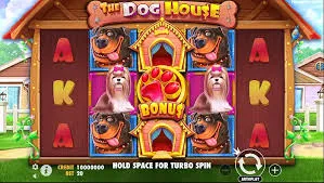 Best Casinos for The Dog House — Top Five Brands Reviewed